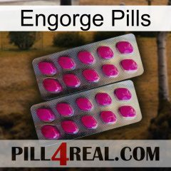 Engorge Pills 10